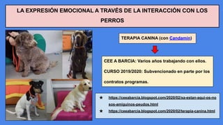LA EXPRESIÓN EMOCIONAL A TRAVÉS DE LA INTERACCIÓN CON LOS
PERROS
TERAPIA CANINA (con Candamín)
CEE A BARCIA: Varios años trabajando con ellos.
CURSO 2019/2020: Subvencionado en parte por los
contratos programas.
★ https://ceeabarcia.blogspot.com/2020/02/xa-estan-aqui-os-no
sos-amiguinos-peudos.html
★ https://ceeabarcia.blogspot.com/2020/02/terapia-canina.html
 