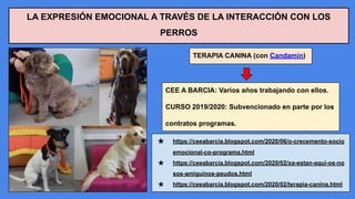 LA EXPRESIÓN EMOCIONAL A TRAVÉS DE LA INTERACCIÓN CON LOS
PERROS
TERAPIA CANINA (con Candamín)
CEE A BARCIA: Varios años trabajando con ellos.
CURSO 2019/2020: Subvencionado en parte por los
contratos programas.
★ https://ceeabarcia.blogspot.com/2020/06/o-crecemento-socio
emocional-co-programa.html
★ https://ceeabarcia.blogspot.com/2020/02/xa-estan-aqui-os-no
sos-amiguinos-peudos.html
★ https://ceeabarcia.blogspot.com/2020/02/terapia-canina.html
 