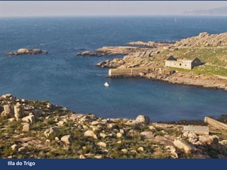 Illa do Trigo
 