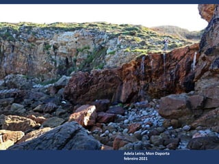 Adela Leiro, Mon Daporta
febreiro 2021
 