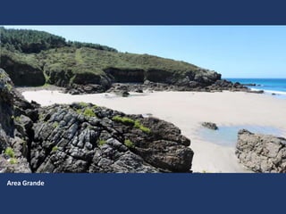 Area Grande
 