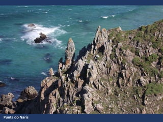 Punta do Narís
 