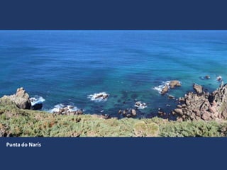 Punta do Narís
 