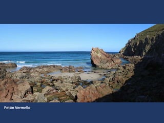 Petón Vermello
 