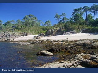 Praia das Leiriñas (Ameixendas)
 