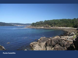 Punta Casteliño
 