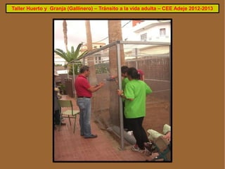 Taller Huerto y Granja (Gallinero) – Tránsito a la vida adulta – CEE Adeje 2012-2013
 