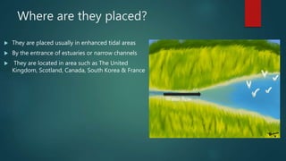 Where are they placed?
 They are placed usually in enhanced tidal areas
 By the entrance of estuaries or narrow channels
 They are located in area such as The United
Kingdom, Scotland, Canada, South Korea & France
Water flow
 