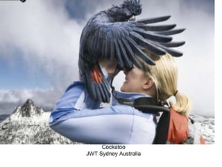 Cockatoo JWT Sydney Australia 