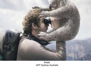 Koala JWT Sydney Australia 