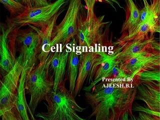 Cell Signallingh Cell signaling | ODP