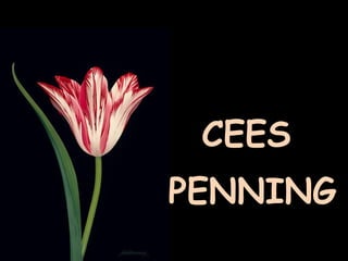 CEES PENNING 