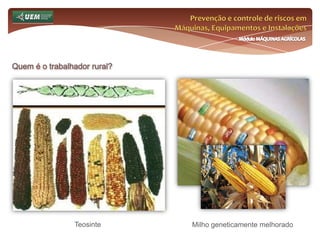 Prevenção e controle de riscos em Máquinas, Equipamentos e InstalaçõesMódulo MÁQUINAS AGRÍCOLASQuem é o trabalhador rural?