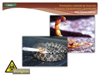 Inadequação dos sistemas produtivos (a compensação se dá do homem ao sistema).Prevenção e controle de riscos em Máquinas, Equipamentos e InstalaçõesMódulo MÁQUINAS AGRÍCOLASQuem é o trabalhador rural? A pluralidade laboral do trabalhador ruralConsequências deste modelo:Absenteísmo;