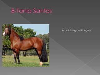 8-Tania SantosAh minha grande egoa