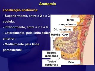 Anatomia
Localização anatômica:
- Superiormente, entre a 2 e a 3
                                               torax
costela;
                                          mm.peitorais
- Inferiormente, entre a 7 e a 8;
                                     Gll. mamárias
- Lateralmente, pela linha axilar
                                    Mamilo - CAP
anterior;
- Medialmente pela linha
paraesternal.
                               Ductos
                              mamarios

                               Tecido              Pele
                              gorduroso
 