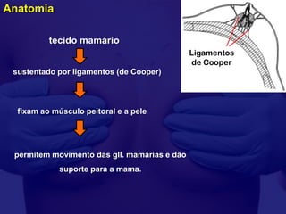 Anatomia

          tecido mamário
                                              Ligamentos
                                              de Cooper
 sustentado por ligamentos (de Cooper)



  fixam ao músculo peitoral e a pele




 permitem movimento das gll. mamárias e dão
             suporte para a mama.
 
