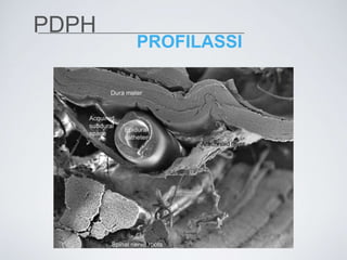 PDPH | PPTX