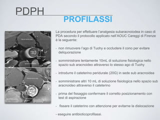 PDPH | PPTX
