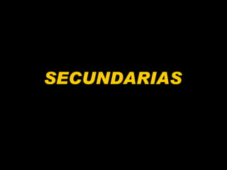 SECUNDARIAS 