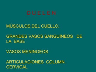 MÚSCULOS DEL CUELLO,  GRANDES VASOS SANGUINEOS  DE LA  BASE  VASOS MENINGEOS  ARTICULACIONES  COLUMN. CERVICAL  D U E L E N  