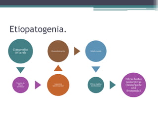 Etiopatogenia.
Compresión
de la raíz
Torsión de
fibras
nerviosas
Isquemia
microvascular
Desmielinización Señal cruzada
Fibras rápidas
mielinizadas
Fibras lentas
nociceptivas
(descarga de
alta
frecuencia)
 