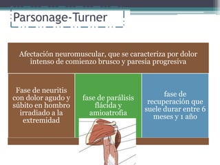 Parsonage-Turner
Afectación neuromuscular, que se caracteriza por dolor
intenso de comienzo brusco y paresia progresiva
Fase de neuritis
con dolor agudo y
súbito en hombro
irradiado a la
extremidad
fase de parálisis
flácida y
amioatrofia
fase de
recuperación que
suele durar entre 6
meses y 1 año
 