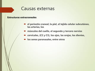 Causas externas
 el periostio craneal, la piel, el tejido celular subcutáneo,
las arterias, los
 músculos del cuello, el segundo y tercero nervios
 cervicales, (C2 y C3), los ojos, las orejas, los dientes,
 los senos paranasales, entre otros
Estructuras extracraneales
 