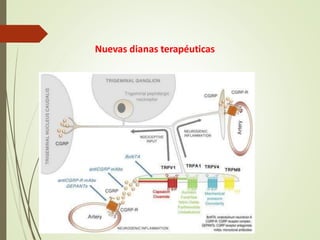 Nuevas dianas terapéuticas
 