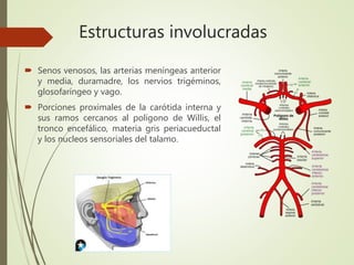 Estructuras involucradas
 Senos venosos, las arterias meníngeas anterior
y media, duramadre, los nervios trigéminos,
glosofaríngeo y vago.
 Porciones proximales de la carótida interna y
sus ramos cercanos al polígono de Willis, el
tronco encefálico, materia gris periacueductal
y los nucleos sensoriales del talamo.
 