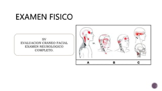 SV
EVALUACION CRANEO FACIAL
EXAMEN NEUROLOGICO
COMPLETO.
 