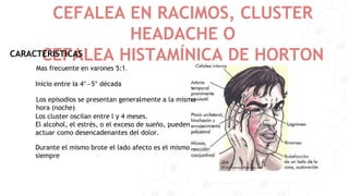 CEFALEA EN RACIMOS, CLUSTER
HEADACHE O
CEFALEA HISTAMÍNICA DE HORTON
Mas frecuente en varones 5:1.
CARACTERISTICAS
Inicio entre Ia 4°—5° década
Los episodios se presentan generalmente a la misma
hora (noche)
Los cluster oscilan entre l y 4 meses.
El alcohol, el estrés, o el exceso de sueño, pueden
actuar como desencadenantes del dolor.
Durante el mismo brote el lado afecto es el mismo
siempre
 