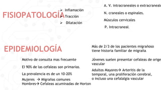 FISIOPATOLOGÍA
 Inflamación
 Tracción
 Dilatación
A. V. intracraneales o extracraneale
N. craneales o espinales.
Músculos cervicales
P. Intracraneal.
EPIDEMIOLOGÍA
Motivo de consulta mas frecuente
EI 90% de las cefaleas son primarias.
La prevalencia es de un 10-20%
Mujeres  Migrañas comunes
Hombres Cefaleas acuminadas de Horton
Jóvenes suelen presentar cefaleas de origen
vascular
Adultos Mayores Arteritis de la
temporal, una proliferación cerebral,
o incluso una cefalalgia vascular
Más de 2/3 de los pacientes migrañoso
tiene historia familiar de migraña.
 