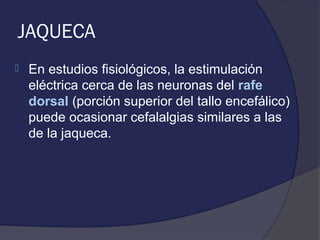JAQUECA
   En estudios fisiológicos, la estimulación
    eléctrica cerca de las neuronas del rafe
    dorsal (porción superior del tallo encefálico)
    puede ocasionar cefalalgias similares a las
    de la jaqueca.
 