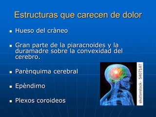 Estructuras que carecen de dolor
   Hueso del cràneo

   Gran parte de la piaracnoides y la
    duramadre sobre la convexidad del
    cerebro.

   Parènquima cerebral

   Epèndimo

   Plexos coroideos
 