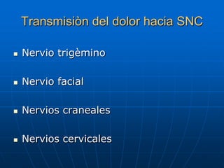 Transmisiòn del dolor hacia SNC

   Nervio trigèmino

   Nervio facial

   Nervios craneales

   Nervios cervicales
 