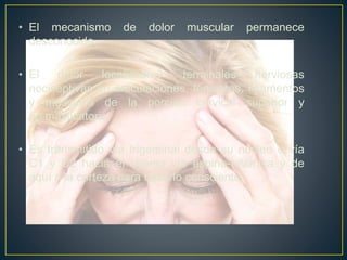 • El mecanismo de dolor muscular permanece
desconocido.
• El dolor localizado terminales nerviosas
nociceptivas en articulaciones, tendones, ligamentos
y músculos de la porción cervical superior y
ap.masticatorio.
• Es transmitido vía trigeminal desde su núcleo o vía
C1 y C2 hacia el tálamo vía espino-talámica y de
aquí a la corteza para hacerlo consciente.
 
