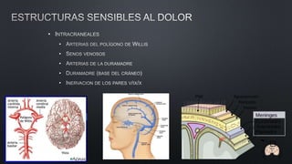 •
•
•
•
•
•
 