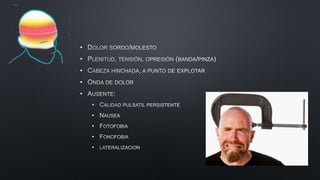 •
•
•
•
•
•
•
•
•
•
 