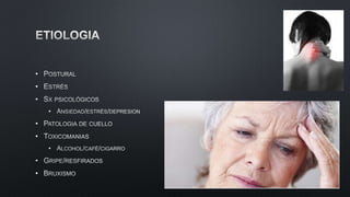 •
•
•
•
•
•
•
•
•
 