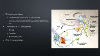 •
•
•
•
•
•
•
•
 