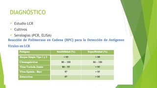 DIAGNÓSTICO


Estudio LCR



Cultivos



Serologías (PCR, ELISA)

 