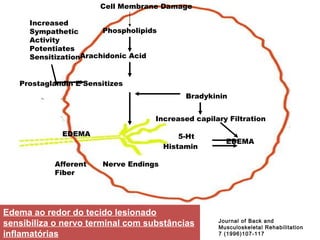 Journal of Back and Musculoskeletal Rehabilitation 7 (1996)107-117 Cell Membrane Damage Phospholipids Arachidonic Acid Prostaglandin E Sensitizes Nerve Endings Bradykinin Increased capilary Filtration 5-Ht Histamin EDEMA Increased Sympathetic Activity Potentiates Sensitization Afferent Fiber EDEMA Edema ao redor do tecido lesionado sensibiliza o nervo terminal com substâncias inflamatórias 