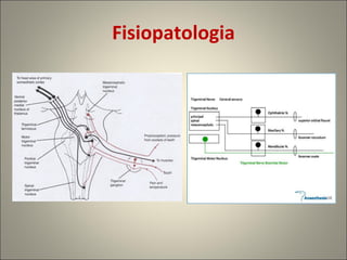 Fisiopatologia 