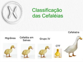 Classificação  das Cefaléias Cefaliatra Migrânea Cefaléia em Salvas Grupo IV CTT 