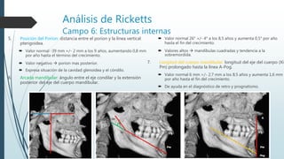 Cefalometria | PPTX