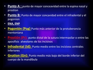 • Punto A : punto de mayor conceavidad entre la espina nasal y
prostion
• Punto B: Punto de mayor concavidad entre el infradental y el
pogonion
• ENA, ENP
• Pogonión (Pog) Punto más anterior de la protuberancia
mentoniana
• Prostión (Pr): punto distal de la sutura intermaxilar o entre las
aposifisis alveolares de los incisivos
• Infradental (Id): Punto medio entre los incisivos centrales
inferiores
• Gnation (Gn): Punto medio más bajo del borde inferior del
cuerpo de la mandíbula
 