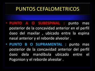 PUNTOS CEFALOMETRICOS
• PUNTO A O SUBESPINAL : punto mas
posterior de la concavidad anterior en el perfil
óseo del maxilar , ubicado entre la espina
nasal anterior y el reborde alveolar .
• PUNTO B O SUPRAMENTAL : punto mas
posterior de la concavidad anterior del perfil
óseo dela mandíbula ubicado entre el
Pogonion y el reborde alveolar .
 