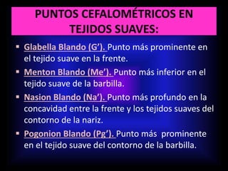 PUNTOS CEFALOMÉTRICOS EN
TEJIDOS SUAVES:
 Glabella Blando (G’). Punto más prominente en
el tejido suave en la frente.
 Menton Blando (Me’). Punto más inferior en el
tejido suave de la barbilla.
 Nasion Blando (Na’). Punto más profundo en la
concavidad entre la frente y los tejidos suaves del
contorno de la nariz.
 Pogonion Blando (Pg’). Punto más prominente
en el tejido suave del contorno de la barbilla.
 