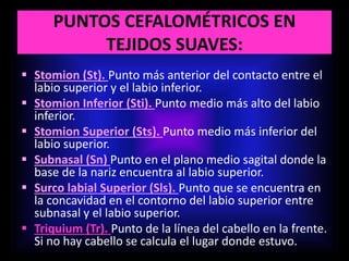 PUNTOS CEFALOMÉTRICOS EN
TEJIDOS SUAVES:
 Stomion (St). Punto más anterior del contacto entre el
labio superior y el labio inferior.
 Stomion Inferior (Sti). Punto medio más alto del labio
inferior.
 Stomion Superior (Sts). Punto medio más inferior del
labio superior.
 Subnasal (Sn) Punto en el plano medio sagital donde la
base de la nariz encuentra al labio superior.
 Surco labial Superior (Sls). Punto que se encuentra en
la concavidad en el contorno del labio superior entre
subnasal y el labio superior.
 Triquium (Tr). Punto de la línea del cabello en la frente.
Si no hay cabello se calcula el lugar donde estuvo.
 